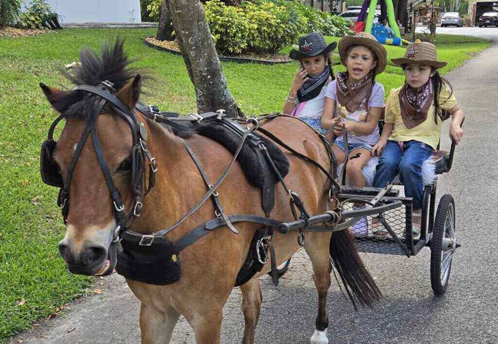 kids educational workshops