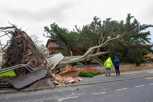 storm damage roof repair