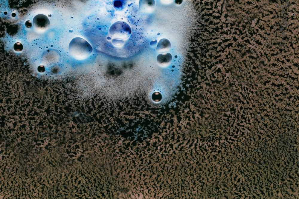 Water Damage at Home? Smart Steps to Save Your Floors and Carpets
